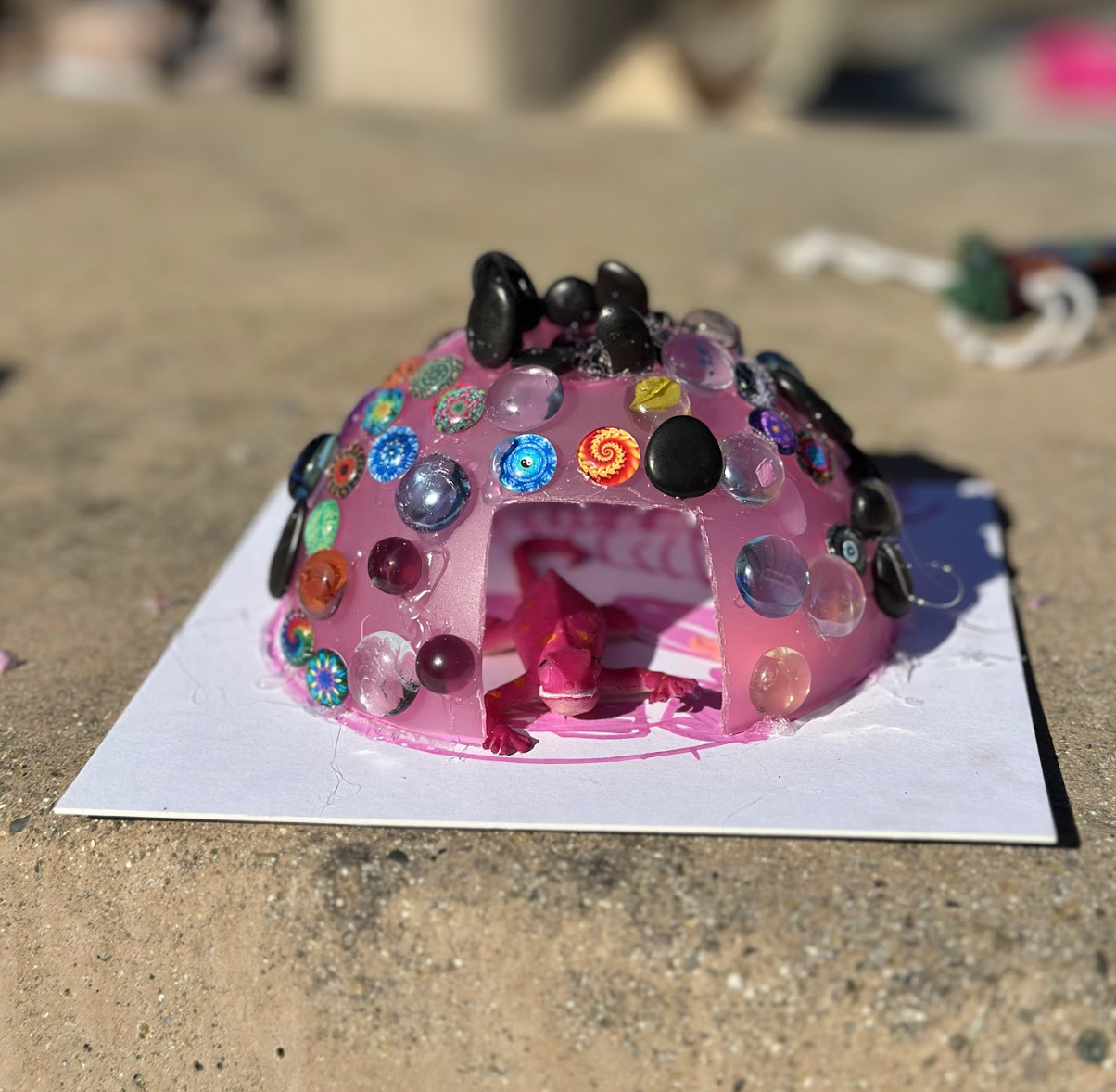 A lizard home with a different arrangement of materials.