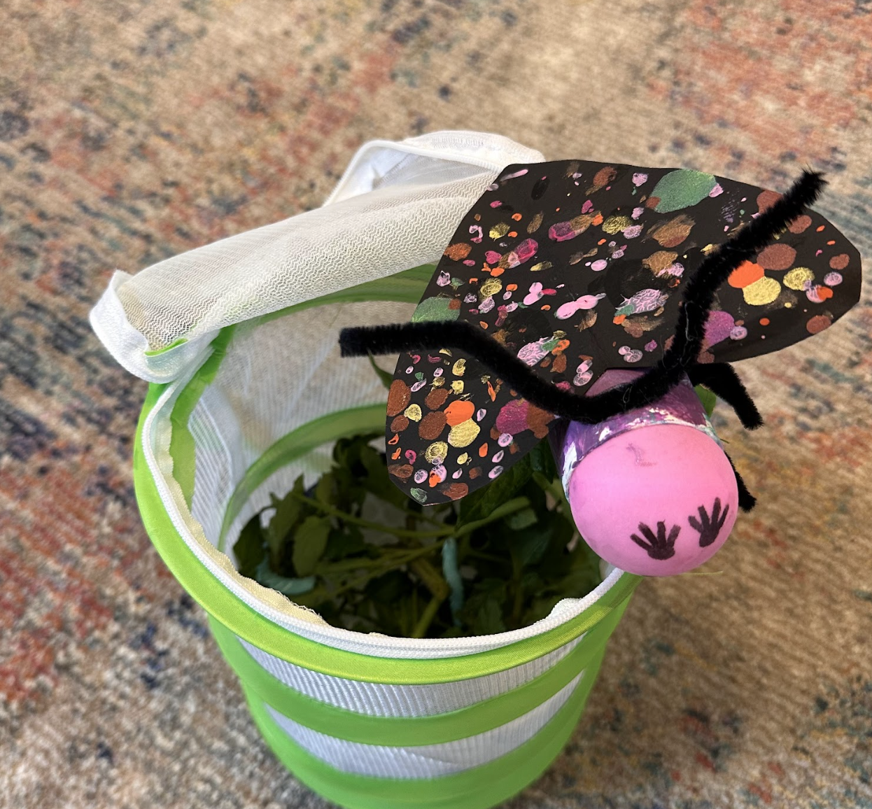Another moth and habitat from the mission.