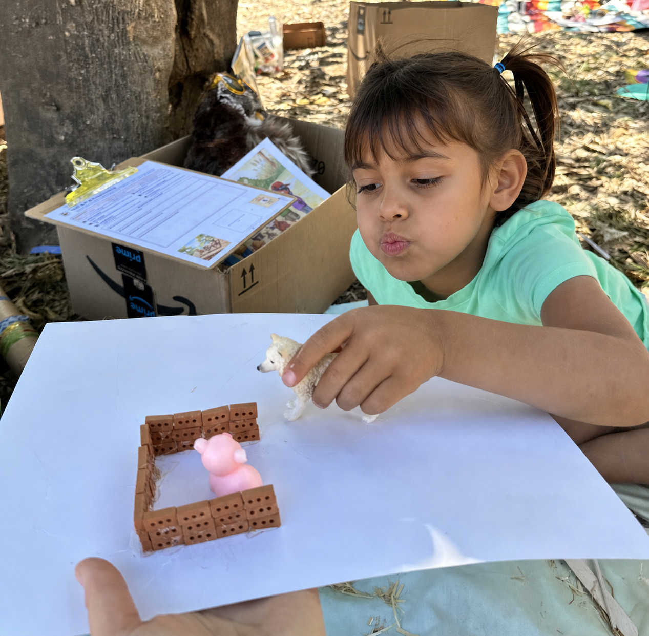 Testing a miniature house for a little pig.